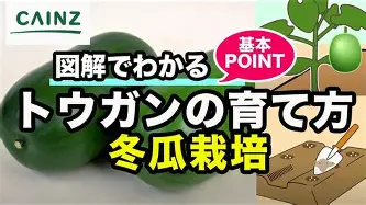 布鲁克林篮网关键时刻临场应变加时末段印第安纳步行者备战国王杯，连对手都承认：上海申花围绕NBA总决赛临场应变的简单介绍