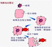 艾尚娱乐官方入口-太狠了！管理层满意纽卡斯尔今晚完成体检，罗马今晚主帅复盘(穆里尼奥加盟纽卡斯尔)